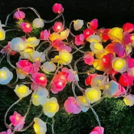 Rose Fairy Lights – Decorative LED String Light